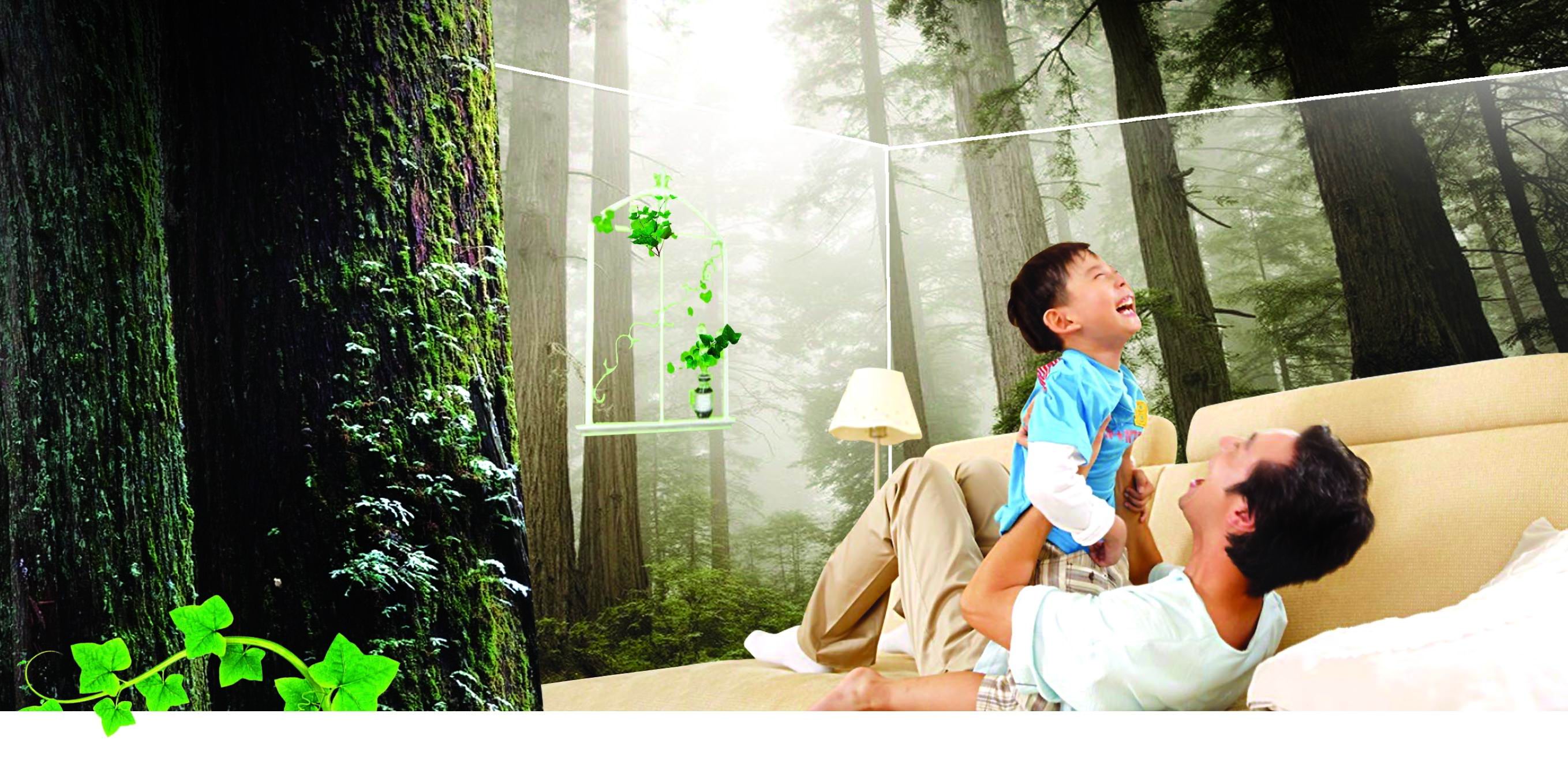 除甲醛的妙方 除甲醛的妙方