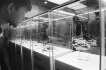 溫州國際眼鏡展 帶動(dòng)訂單增長效果明顯