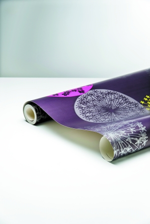 新一代環(huán)保壁材探秘 會呼吸的無紡布墻紙 新一代環(huán)保壁材探秘 會呼吸的無紡布墻紙