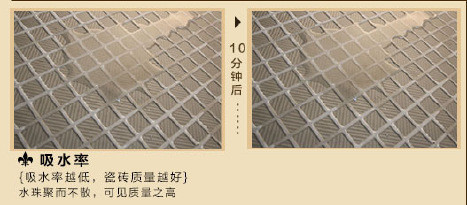 看瓷磚的吸水率 看瓷磚的吸水率