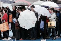 本來冒雨來看家具的 看到的都是“人從眾”