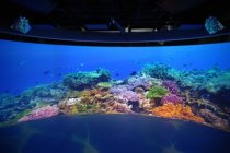 展廳背后：新業(yè)務(wù)“娛樂解決方案”坐鎮(zhèn)