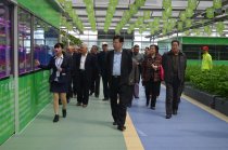 山東蘭陵縣 舉辦第五屆蔬菜產(chǎn)業(yè)菜博會(huì)