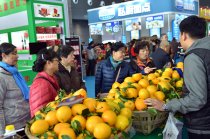 中國中部(湖南)農(nóng)業(yè)博覽會